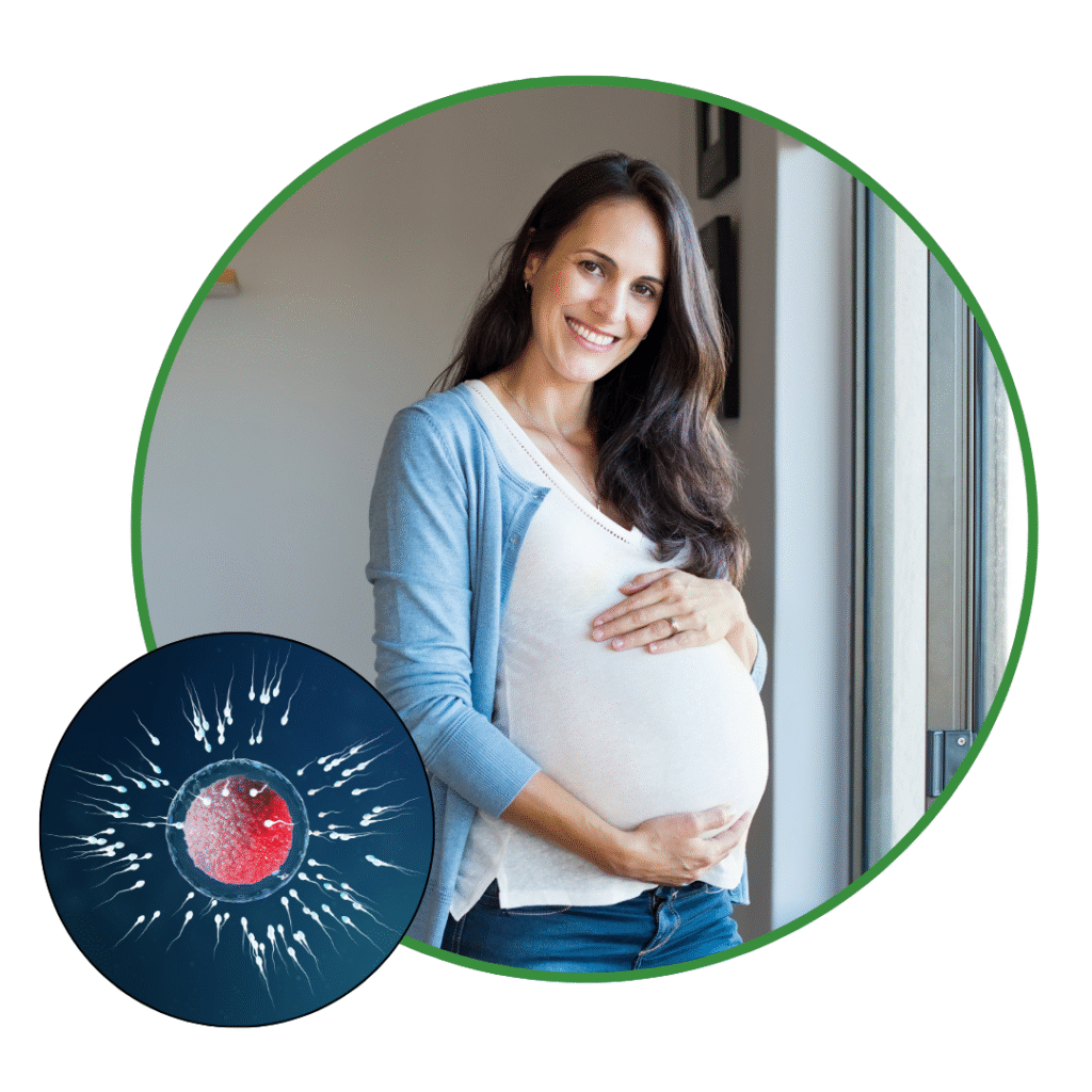 How to Improve Egg Quality for Better Fertility Outcomes 1 2025Febweek4Sharda