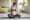 healthy nutrition smiling pregnant female holding fresh vegetable salad embracing belly