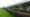 Walking Track