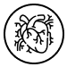 Home 13 Cardiovascular Icon 1 1