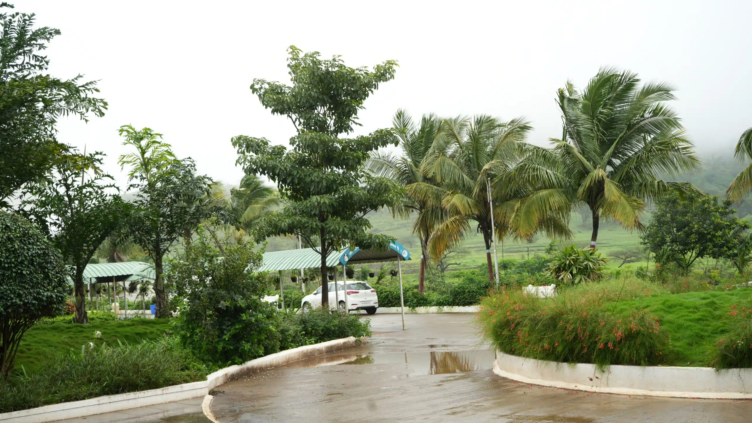 DSC00125
